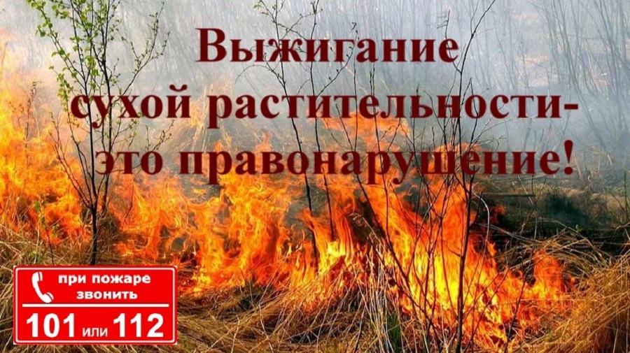 МЧС НАПОМНАЕТ! Выжигание сухой растительности и трав на корню категорически запрещено.